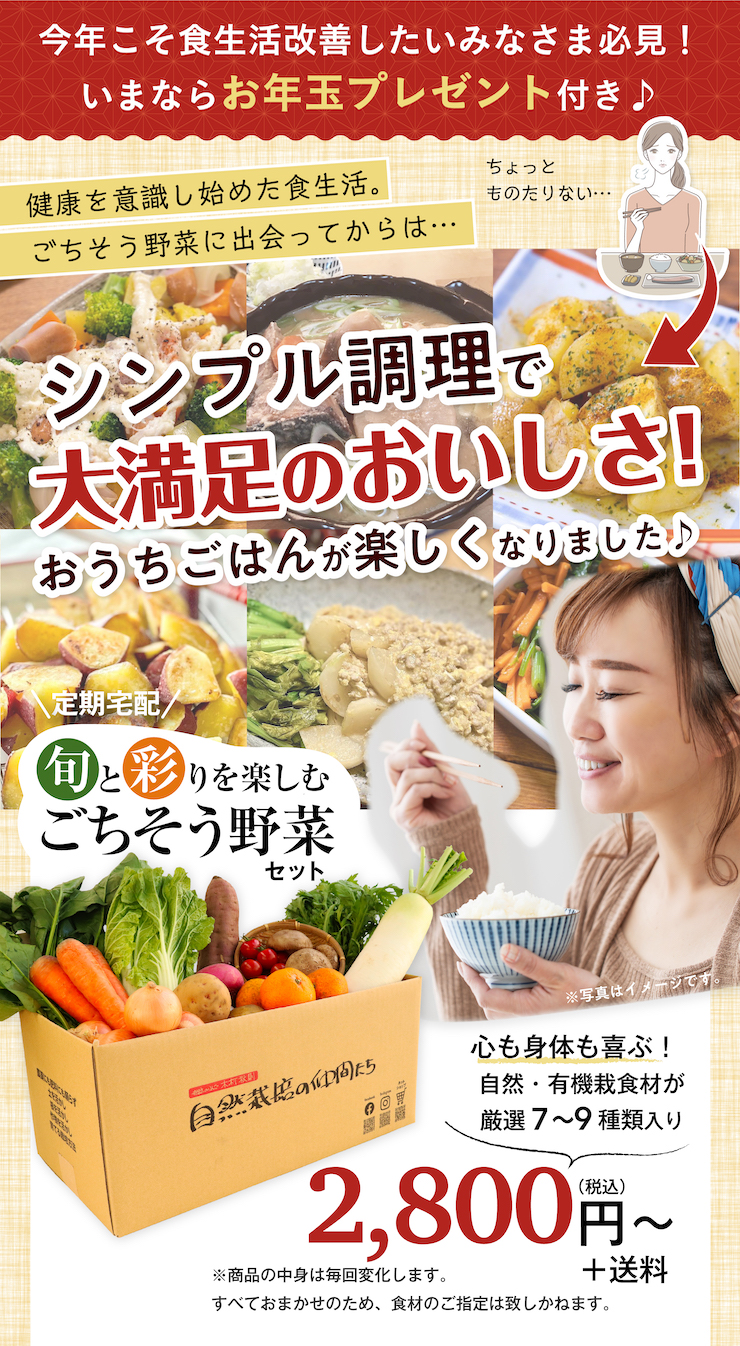 お年玉キャンペーン付きセット