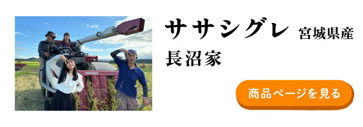 ササシグレ