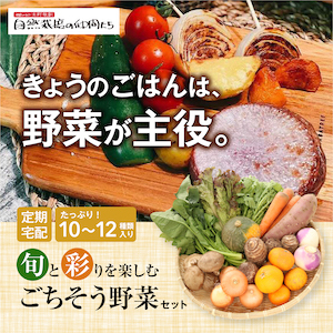 旬と彩りを楽しむごちそう野菜セット