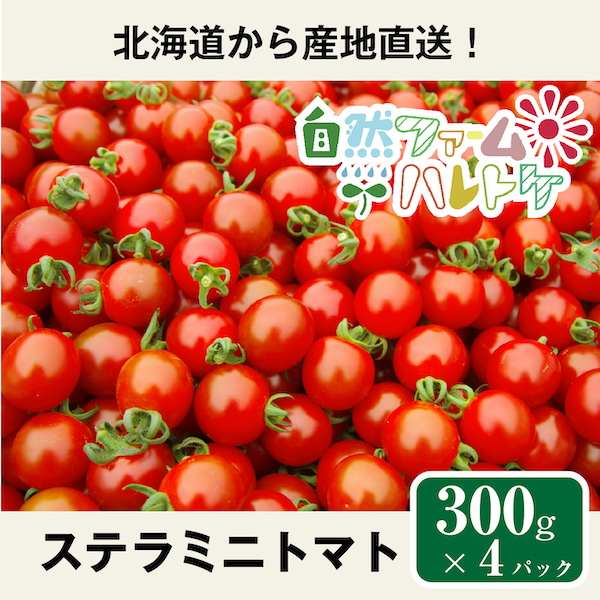 ３００g×４ミニトマト