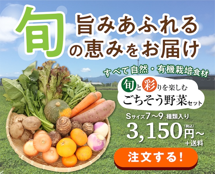 旬と彩りを楽しむごちそう野菜セット