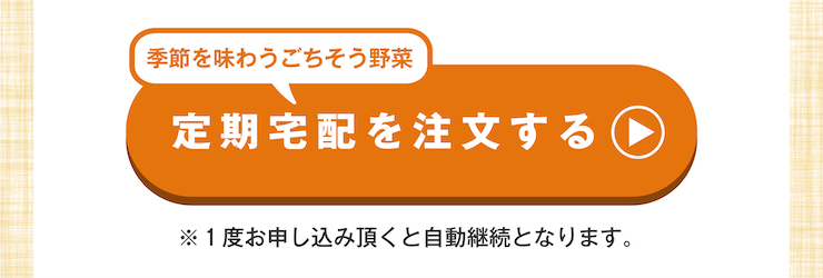 ごちそう野菜セット