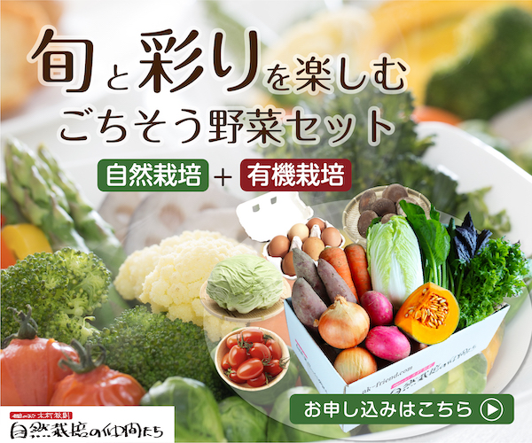 ごちそう野菜セットディスプレイ