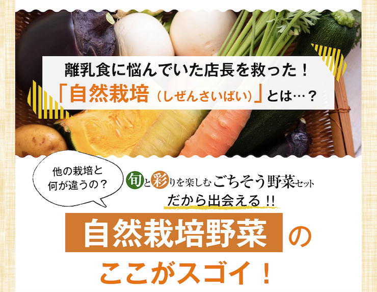 ごちそう野菜セット