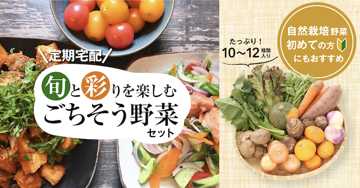 旬と彩りを楽しむごちそう野菜セット