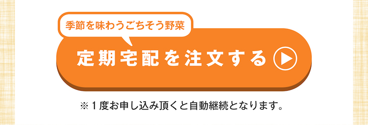 ごちそう野菜セット