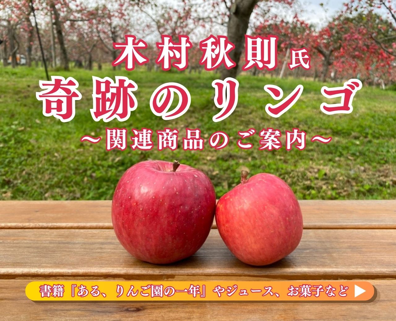 奇跡のリンゴ関連商品