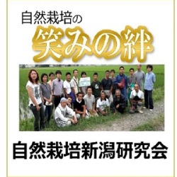 笑みの絆
