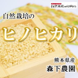ヒノヒカリ