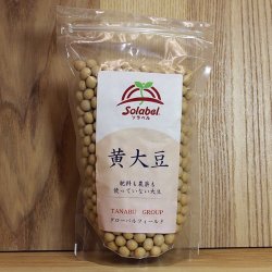 黄大豆
