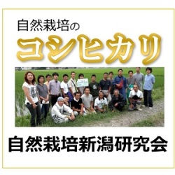コシヒカリ　新潟