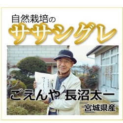 ササシグレ