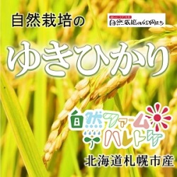 ゆきひかり