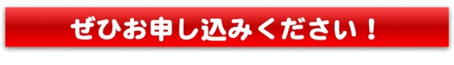 野野菜セットのお申し込みはこちら