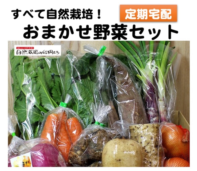 定期宅配の自然栽培の野菜セット