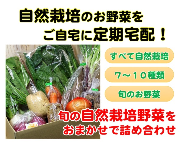 自然栽培の野菜セット