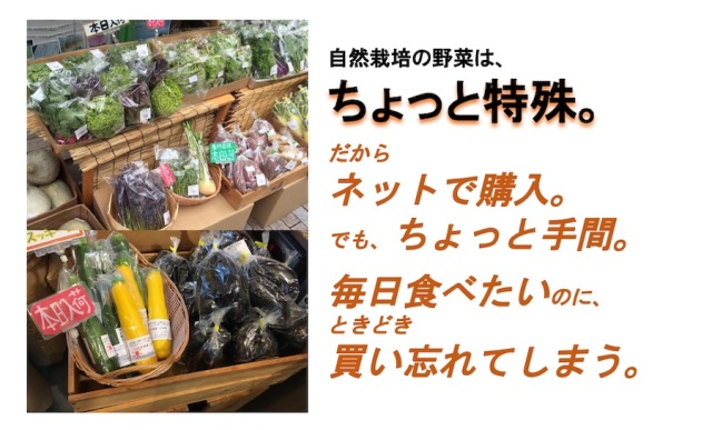 自然栽培の野菜セット
