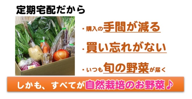 自然栽培の野菜セット