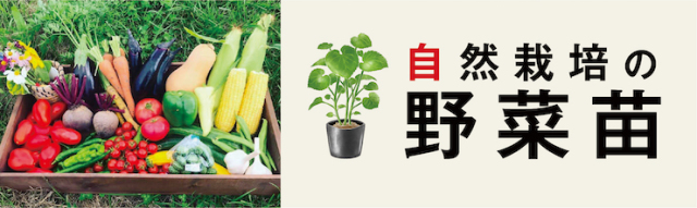 プランターで野菜づくりを始めよう お野菜でつながる おうちで自然栽培 奇跡のリンゴ木村秋則 自然栽培の仲間たち ネットショップ プランターで野菜づくりを始めよう お野菜でつながる おうちで自然栽培 奇跡のリンゴ木村秋則 自然栽培の仲間たち ネットショップ