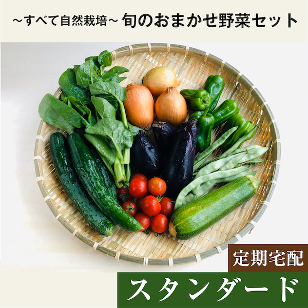 おまかせ野菜セットスタンダード