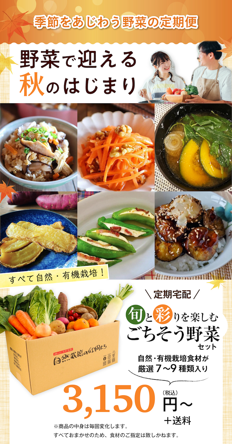 ごちそう野菜セット　2023年9月・10月