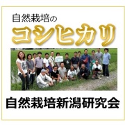 コシヒカリ　新潟