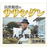 ササシグレ