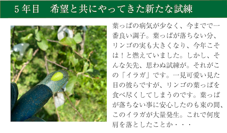 わだち１０　５年目