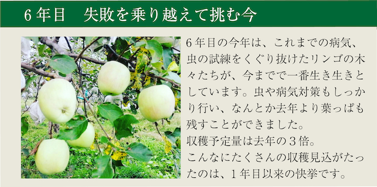 わだち１１　６年目