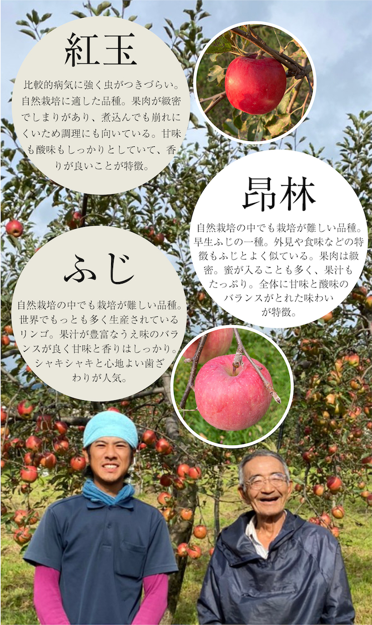 自然栽培リンゴ 轍＜わだち＞ MIRACLE APPLE FARM 奇跡のリンゴ