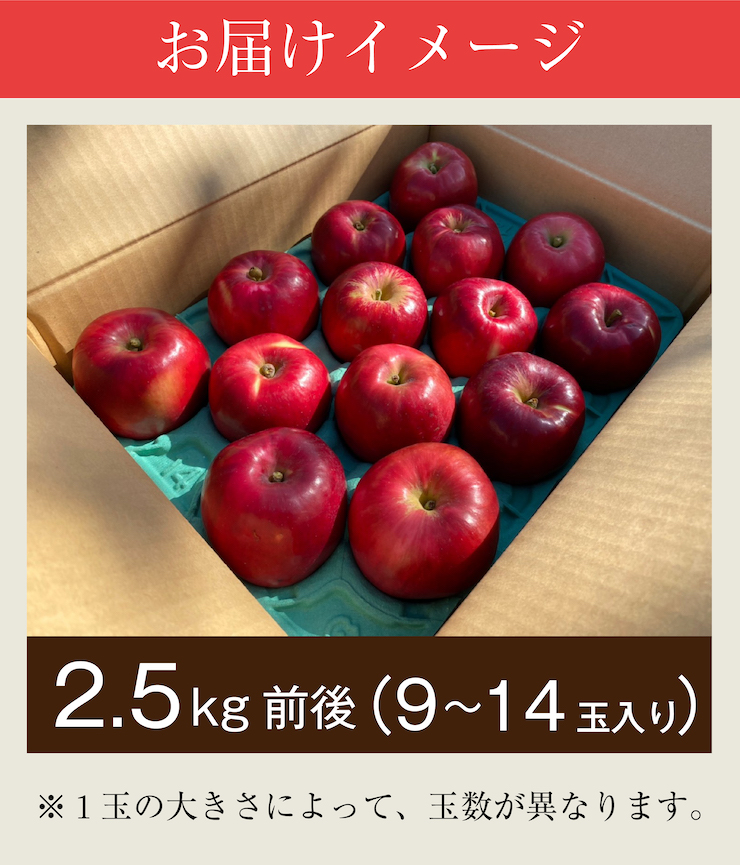 わだち２６　購入の注意