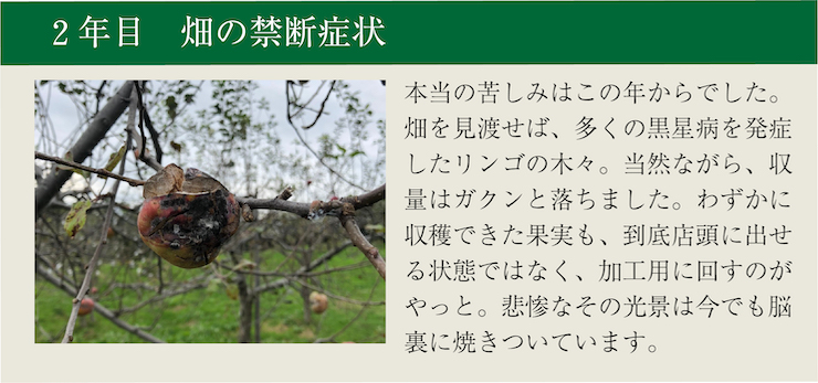 わだち７　２年目