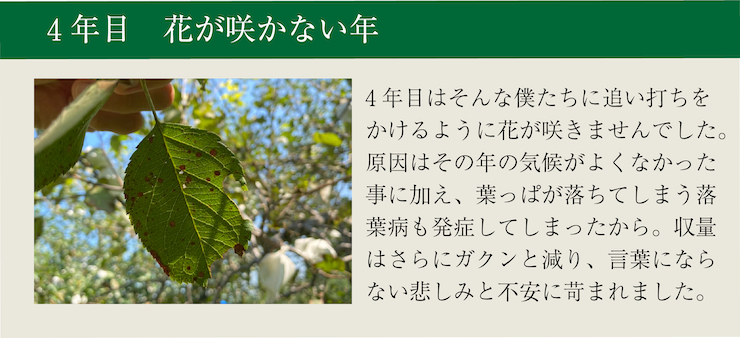 わだち９　４年目