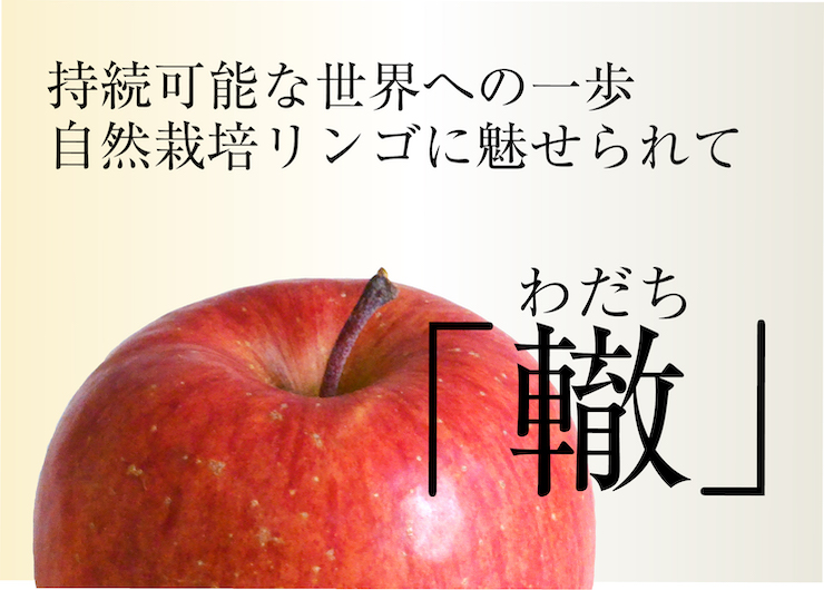 わだち２　TOP２