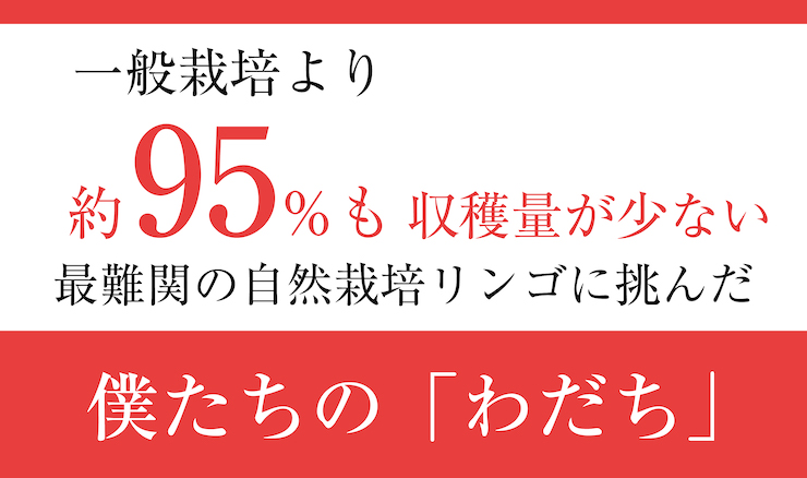わだち５　９５％少ない