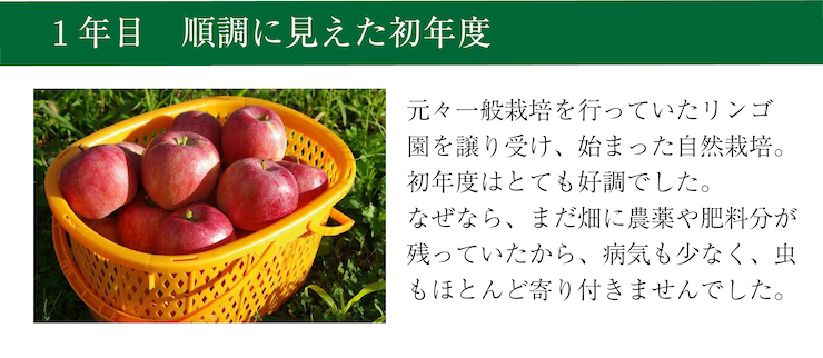 　わだち６　１年目