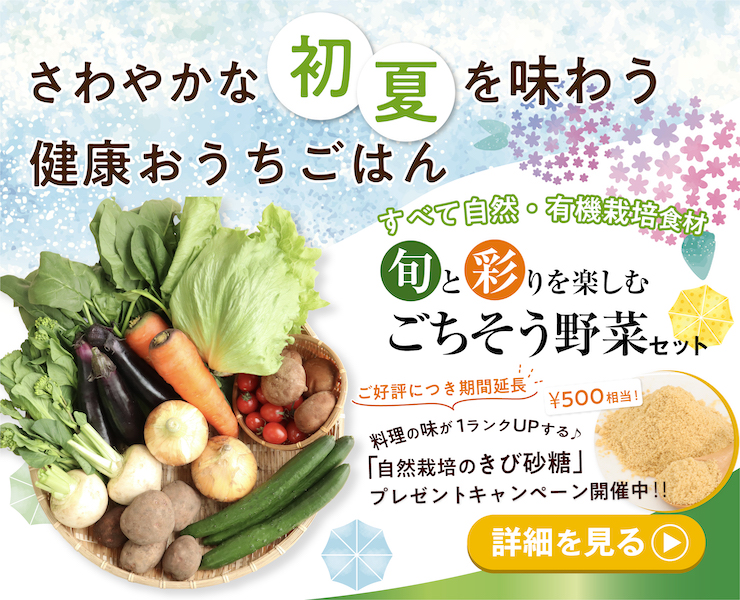 旬と彩りを楽しむごちそう野菜セット